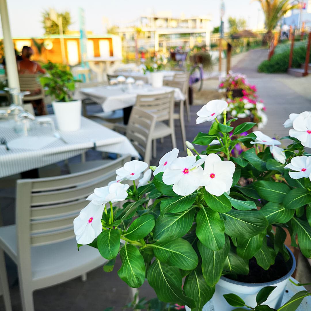 Un posto da vivere - Bistrot del Mare